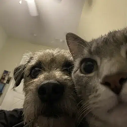 Selfie