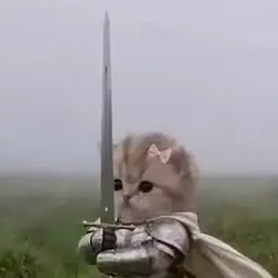 KNIGHTCAT