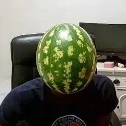 BOOGIE