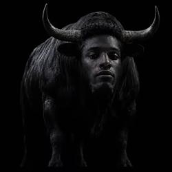 NIGGABULL