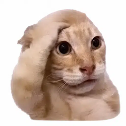 copycat / SOL