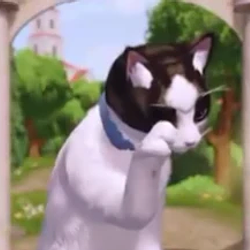 royal cat