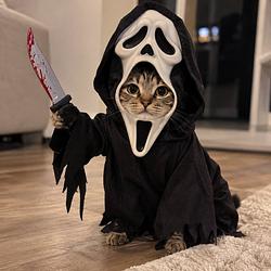 Costume