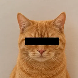 ZCat / SOL