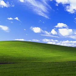 bliss