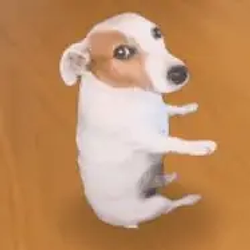 Luka