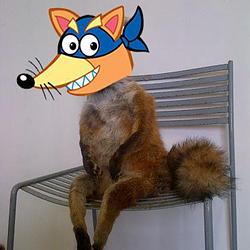 SWIPER