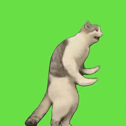 hughcat