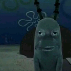 plankton / SOL