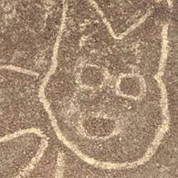 Nascat