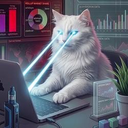 CODINGCAT