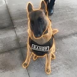 Randy / SOL