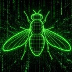 Fly