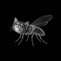 FLYCATE