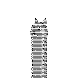 LONG DOGE / SOL