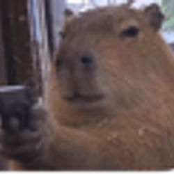 CAPYBARA