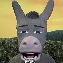 驴来