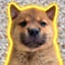 bob