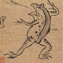 kaeru
