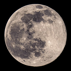 MoonCoin / SOL