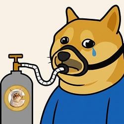 Hopedoge