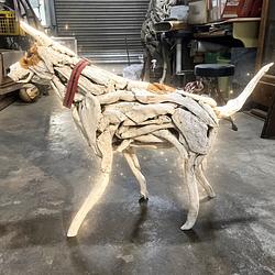 木狗狗