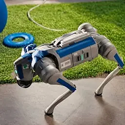 Robodog