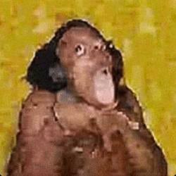 ISP