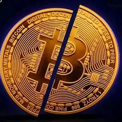BTC.HALVING / BNB