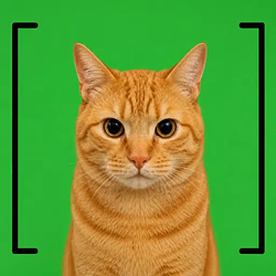 [KAT]