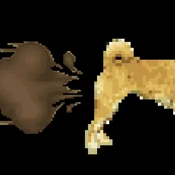 DogeFart / SOL