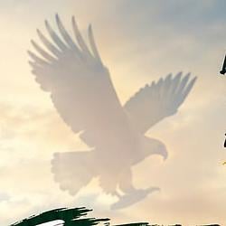 EAGLE / SOL
