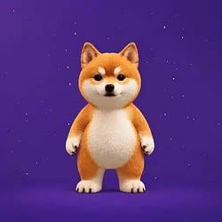 BELLY