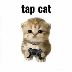 TapCat