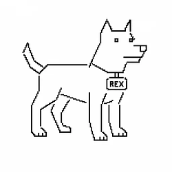 Rex / SOL
