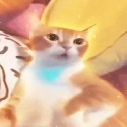 shivering / SOL