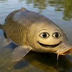 CARP⁠
