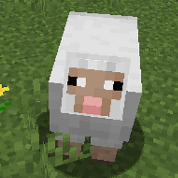 SHEEPS