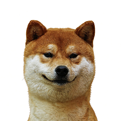 NOTSI