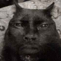 $KevCat