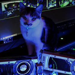 mau