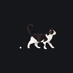 .cat