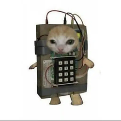 c4t