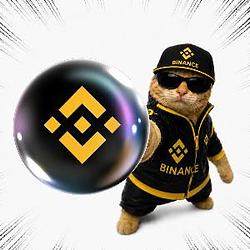 BNBCAT
