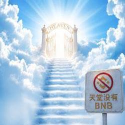 天堂没有BNB / BNB