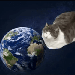 COSMO
