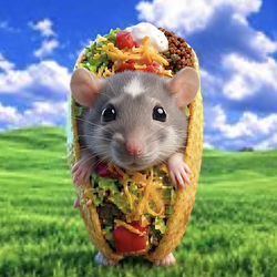 TACORAT