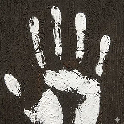 HUMANS