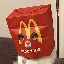 MCAT