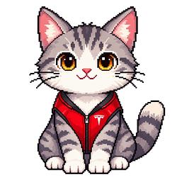 Tora